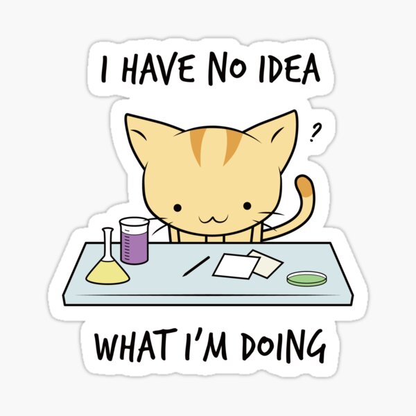 No Idea What I'm Doing