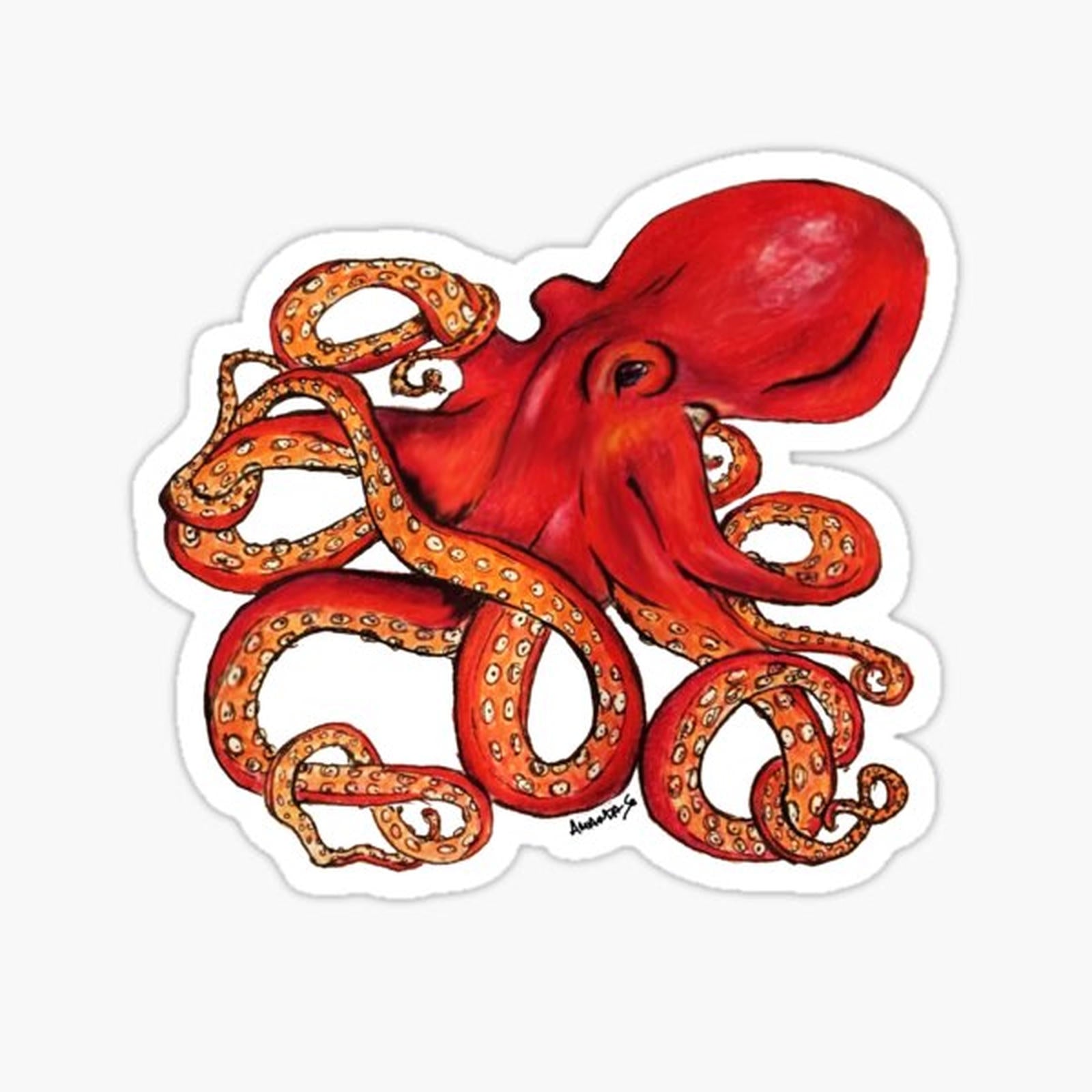 Octopus