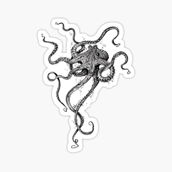 Octopus