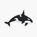 Orca