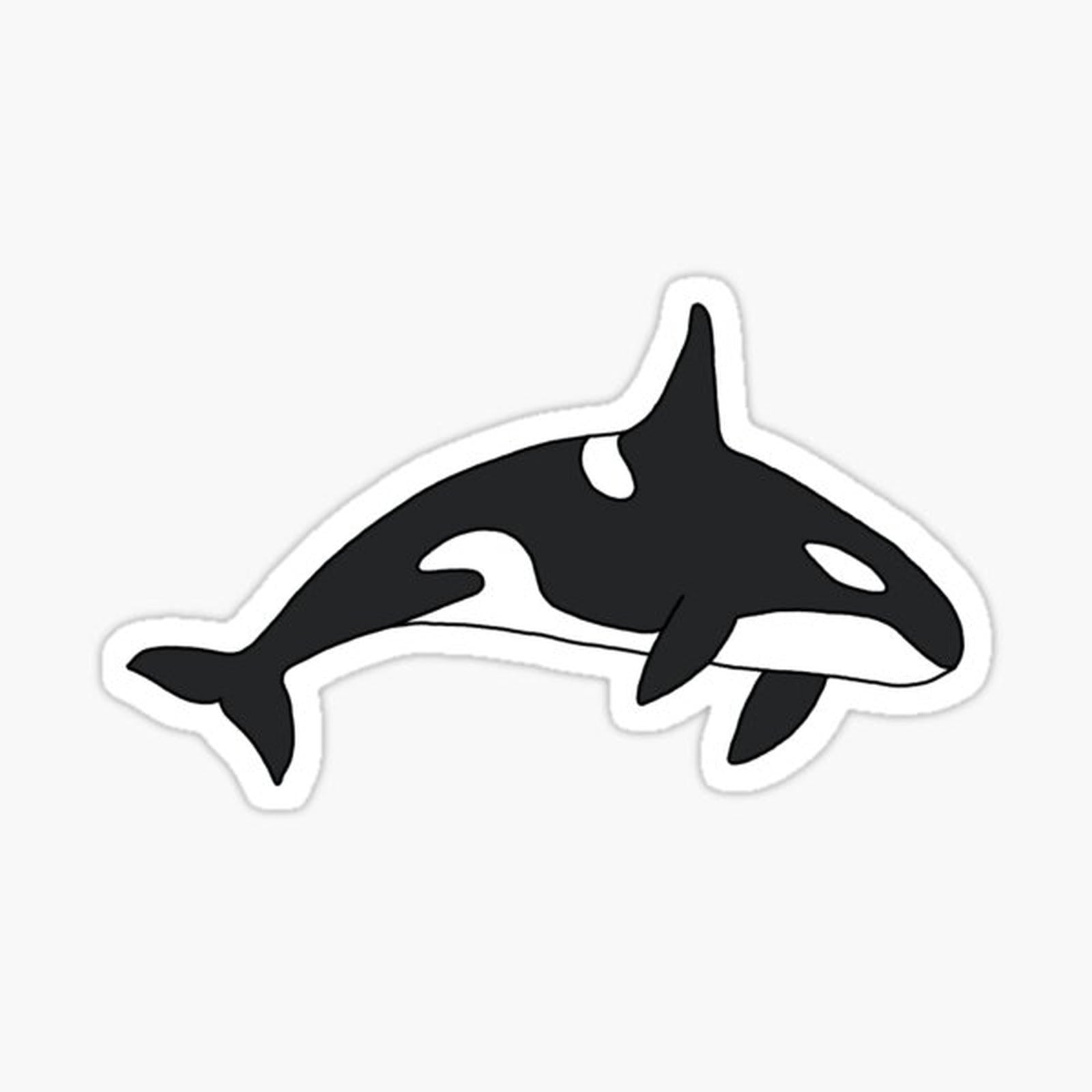 Orca