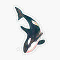 Orca