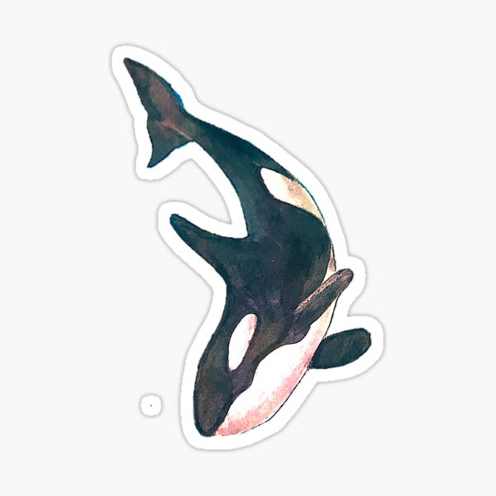 Orca