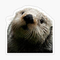 Otter