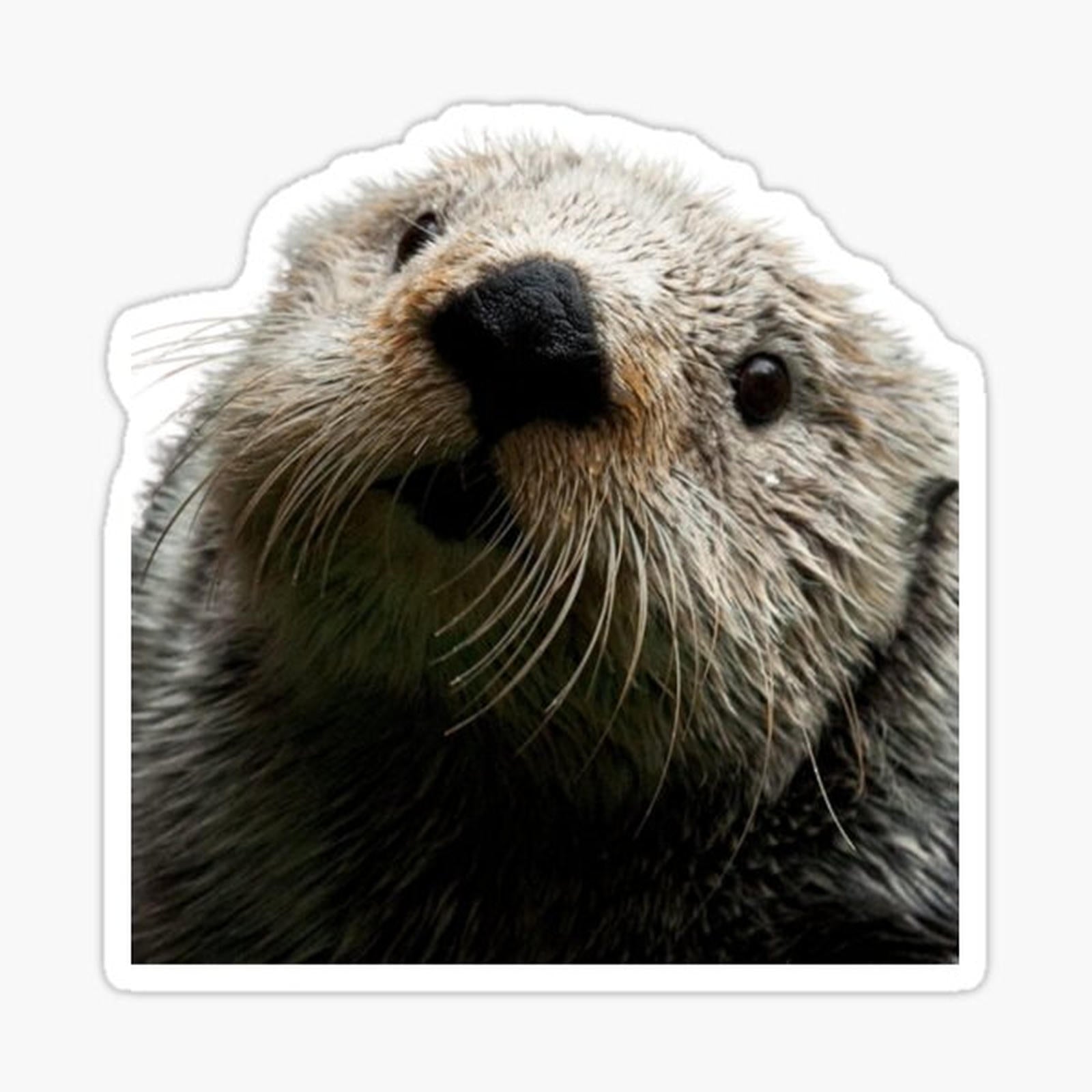 Otter
