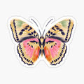 Painted butterfly