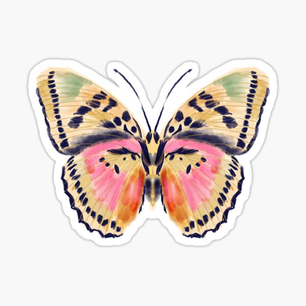 Painted butterfly