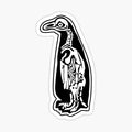 Penguin from Atypical