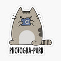 Photogra-purr Funny