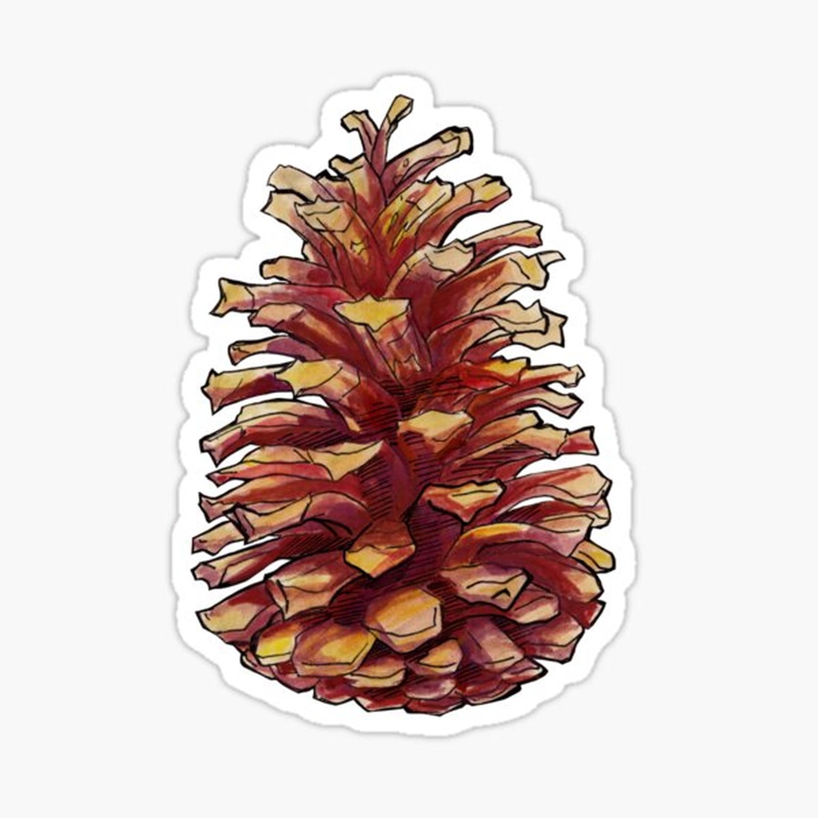 Pinecone