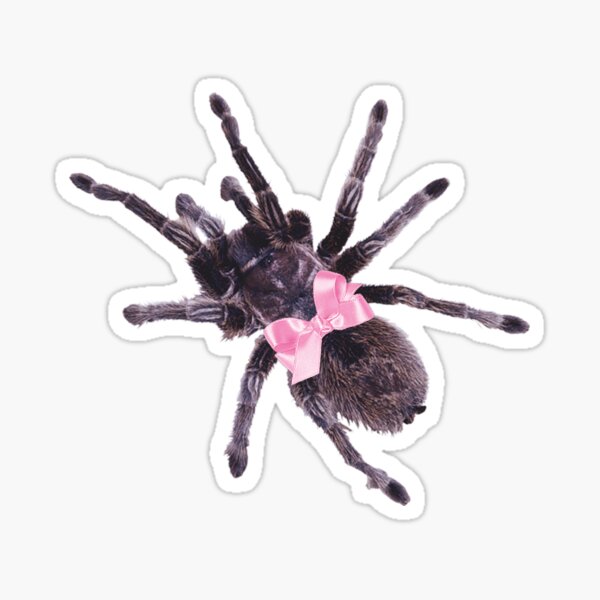 Pink Bow Spider