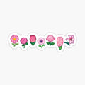 Pink Flower