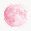 Pink Full Moon