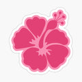 Pink Hibiscus Flower