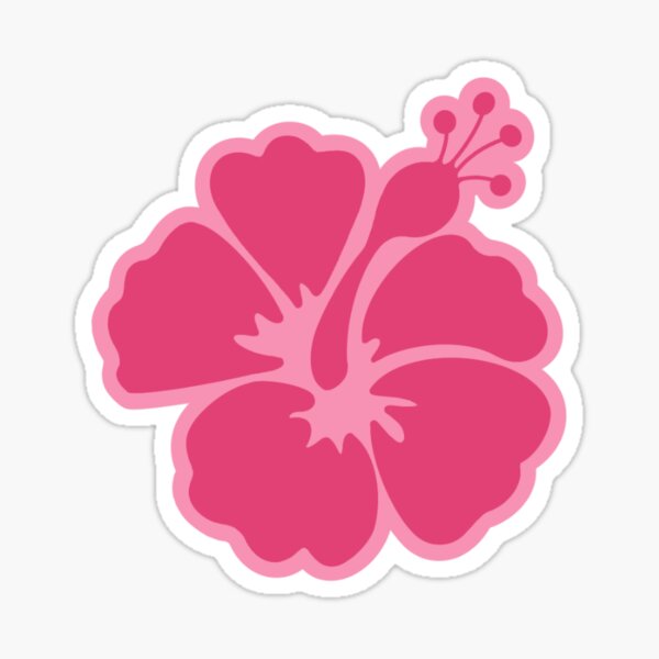 Pink Hibiscus Flower