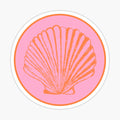 Pink & Orange Seashell