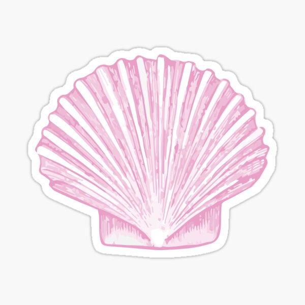 Pink Sea Scallop