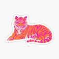 Pink and Orange