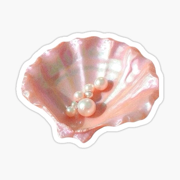 Pink shell