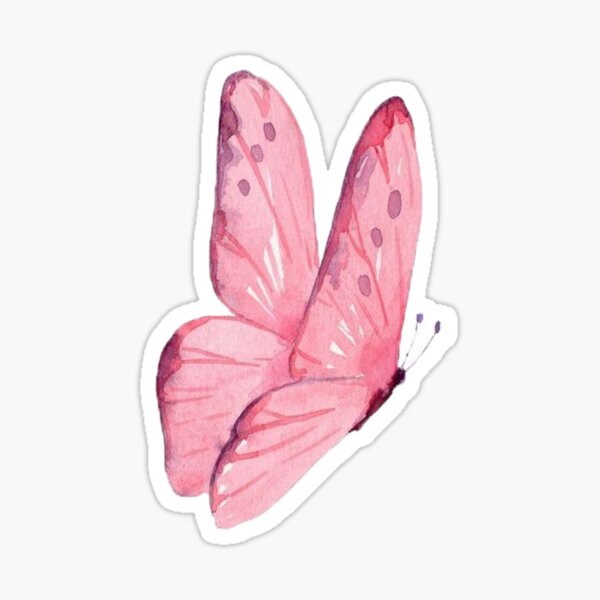 Pink watercolor butterfly