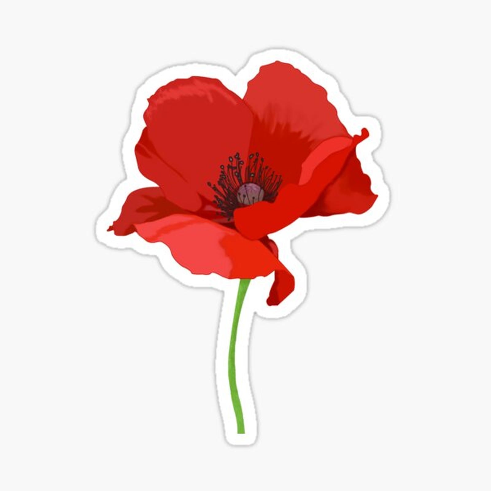 Poppy