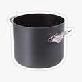 Pot
