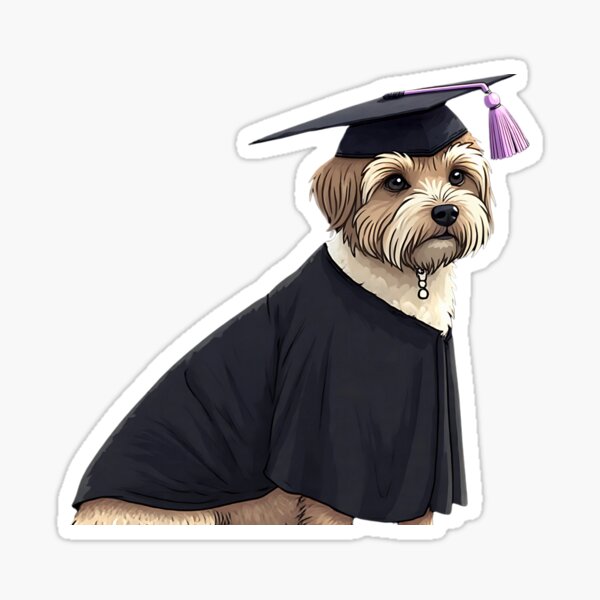 Proud Grad