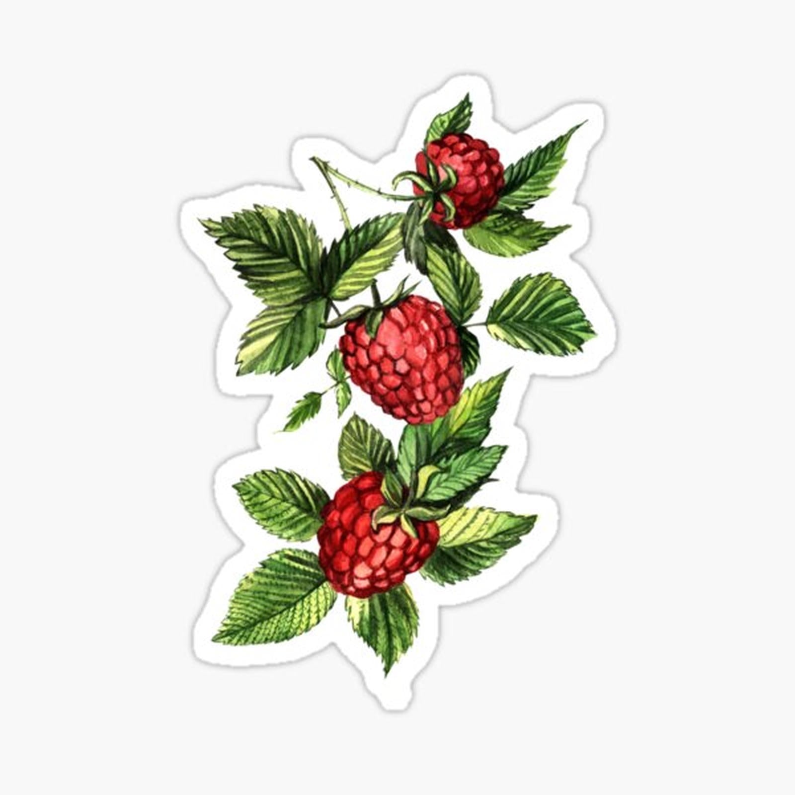 Raspberries