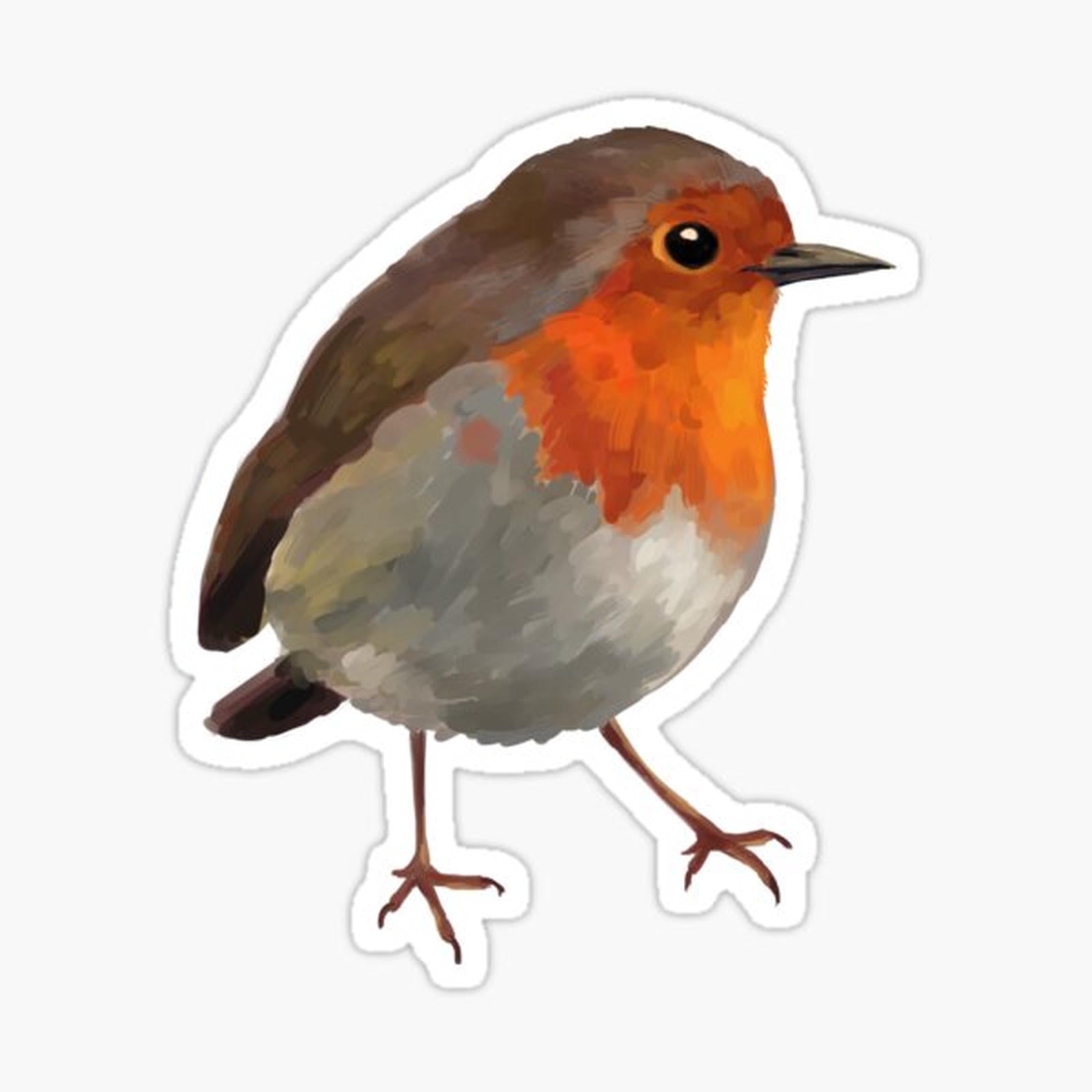 Robin