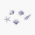 Seashells
