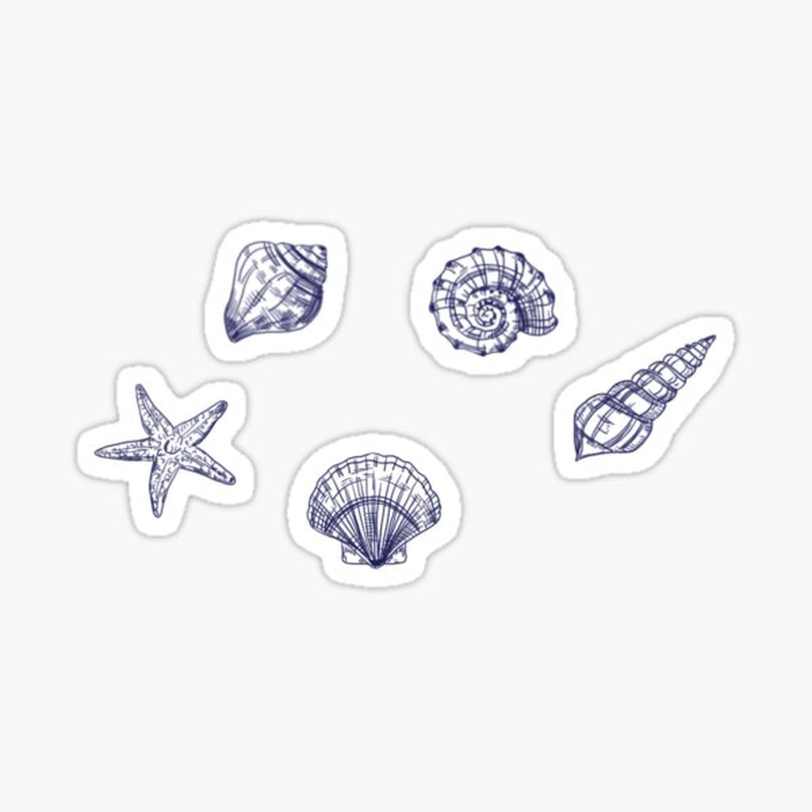 Seashells