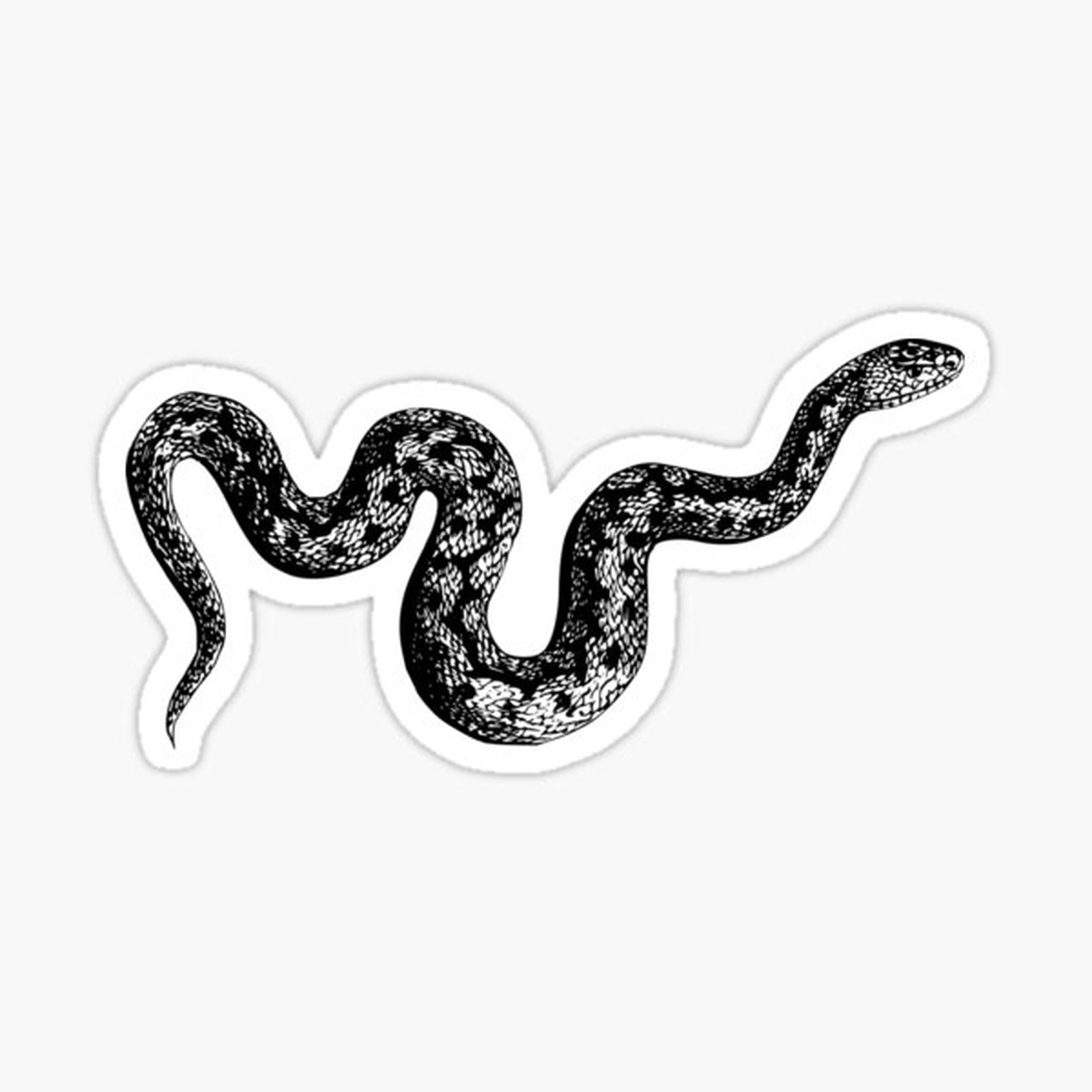 Snake