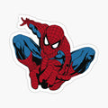 Spider Illustration