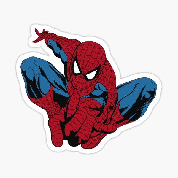 Spider Illustration