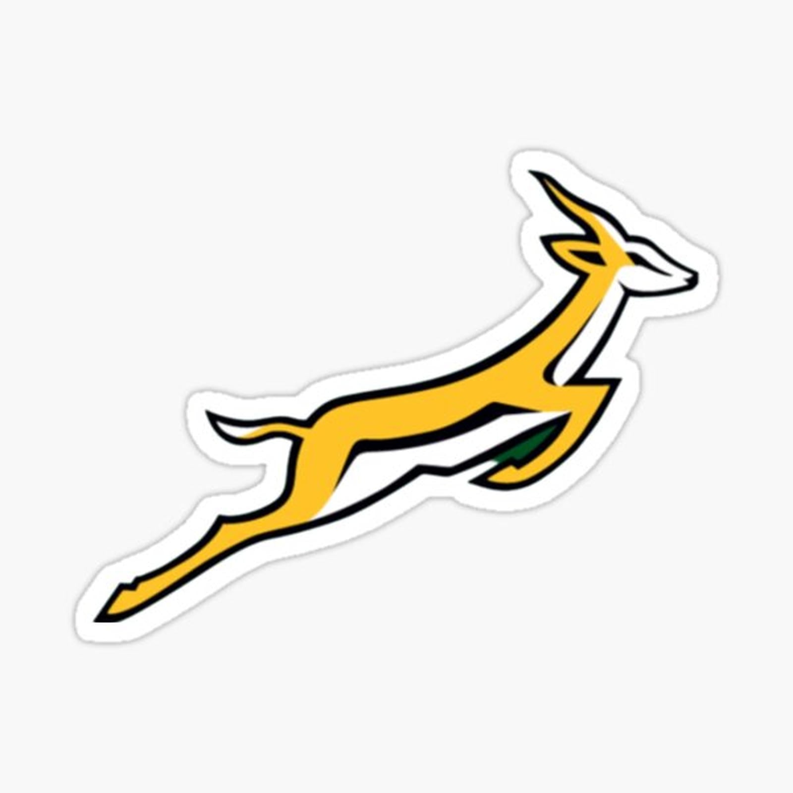 Springbok