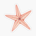 Starfish