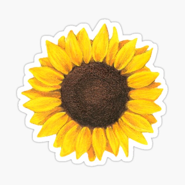 Sunflower sticker