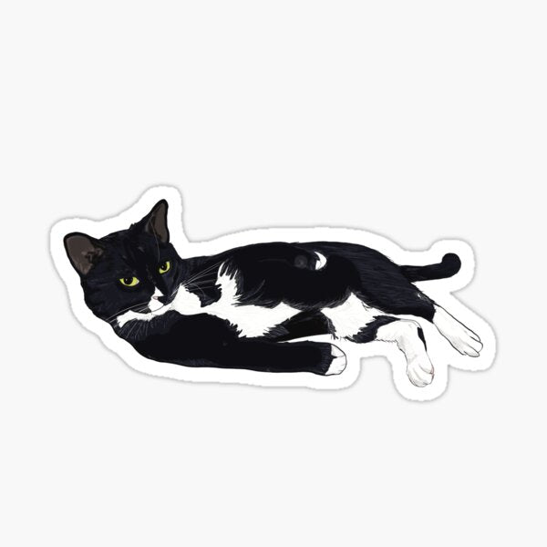 Tuxedo Cat Lounging