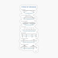Types of bridges