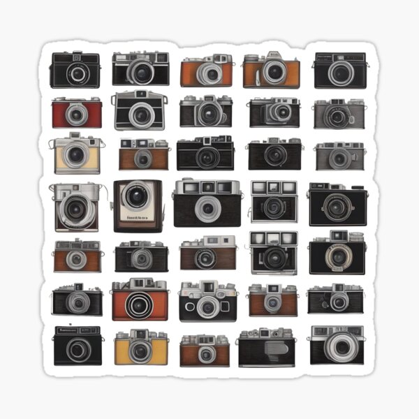 Vintage Film Cameras