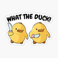 WHAT THE DUCK
