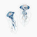 Watercolor Jellyfish