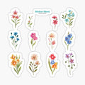 Wildflowers