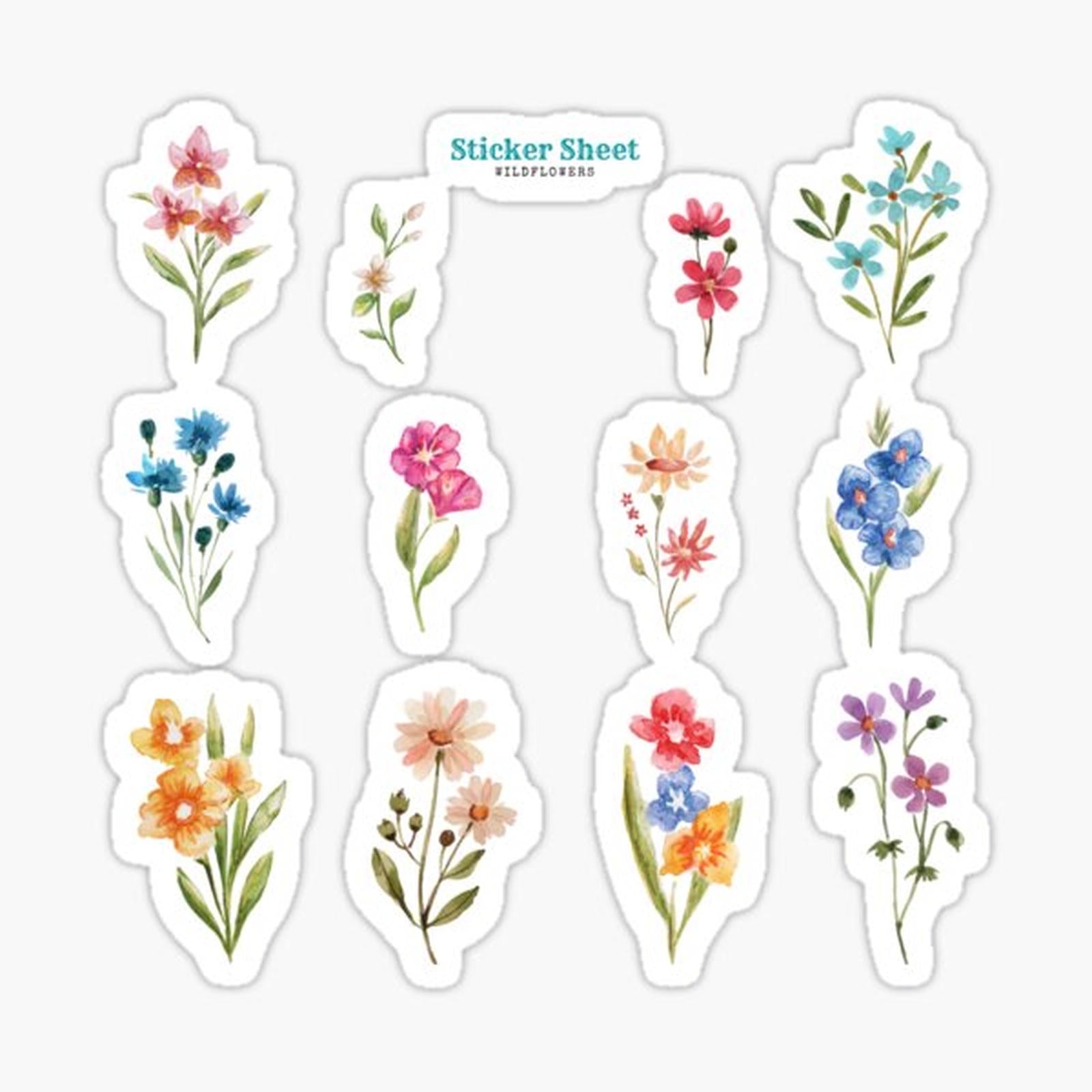 Wildflowers