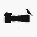 Wildlife Bird Photographer