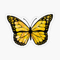 Yellow Butterfly Aesthetic