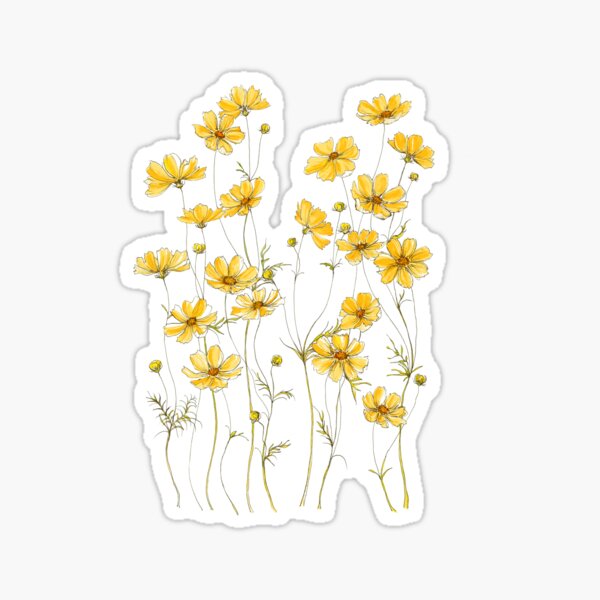 Yellow Cosmos Flowers