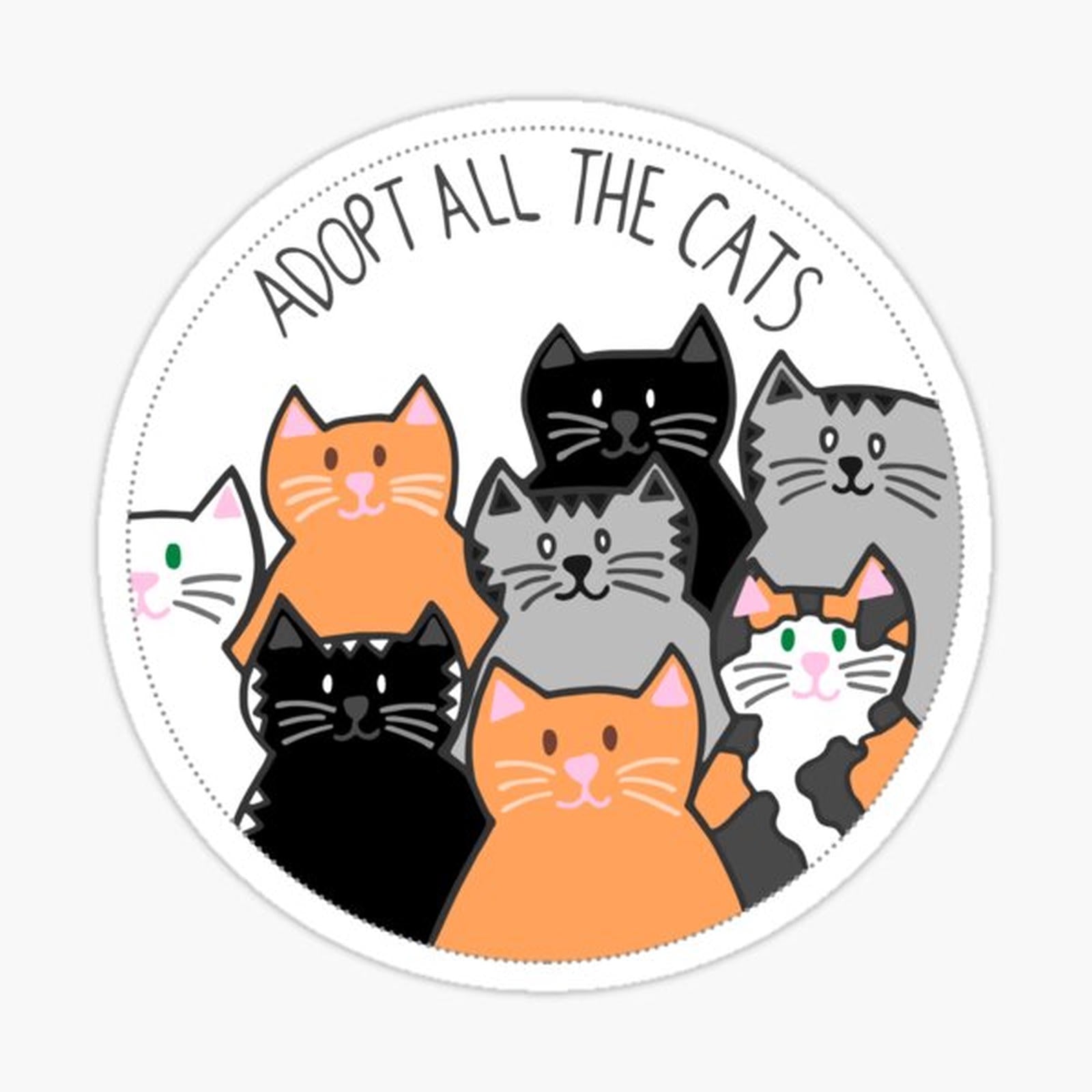 Adopt All the Cats