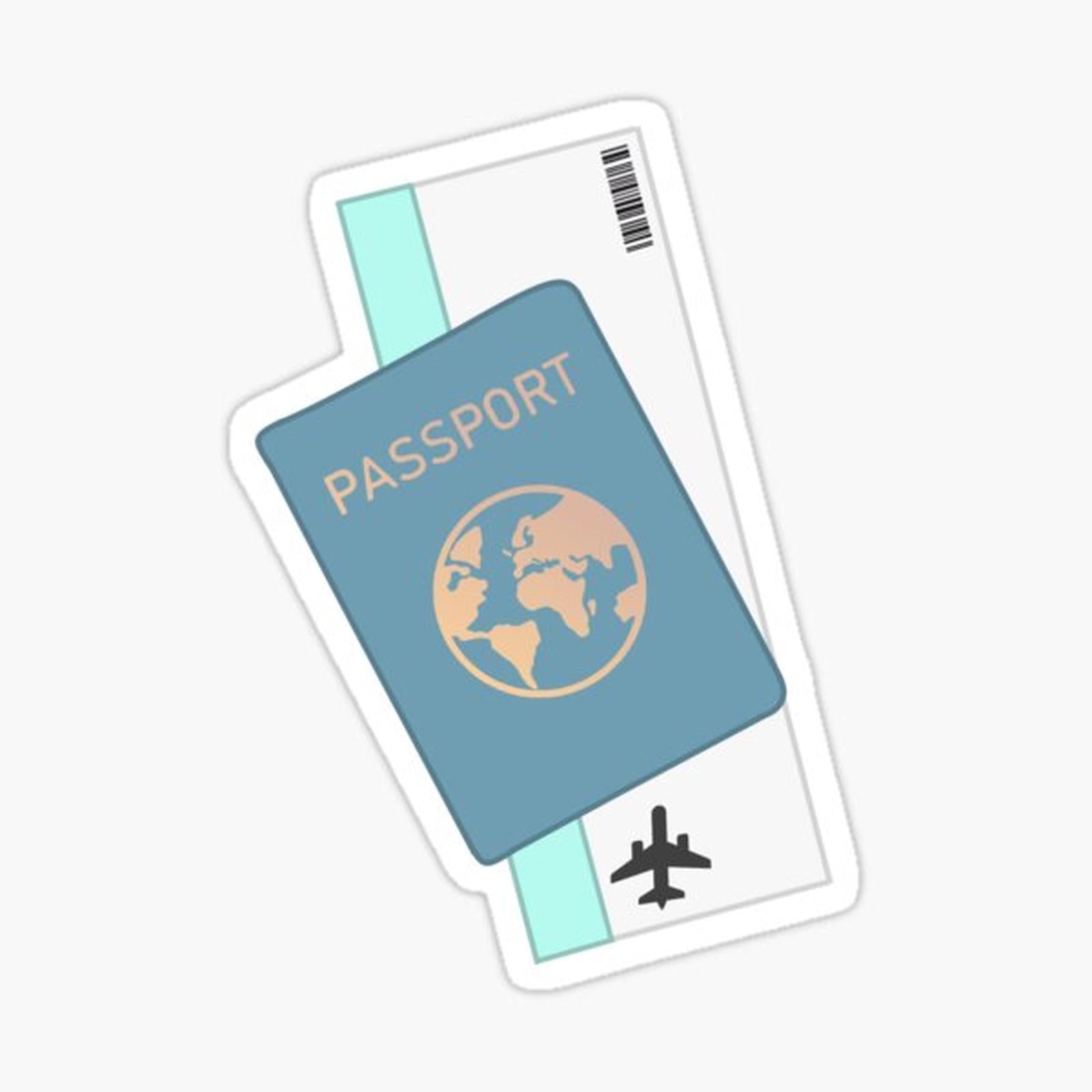 Aesthetic Blue Passport