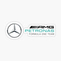 AMGP F1 Team